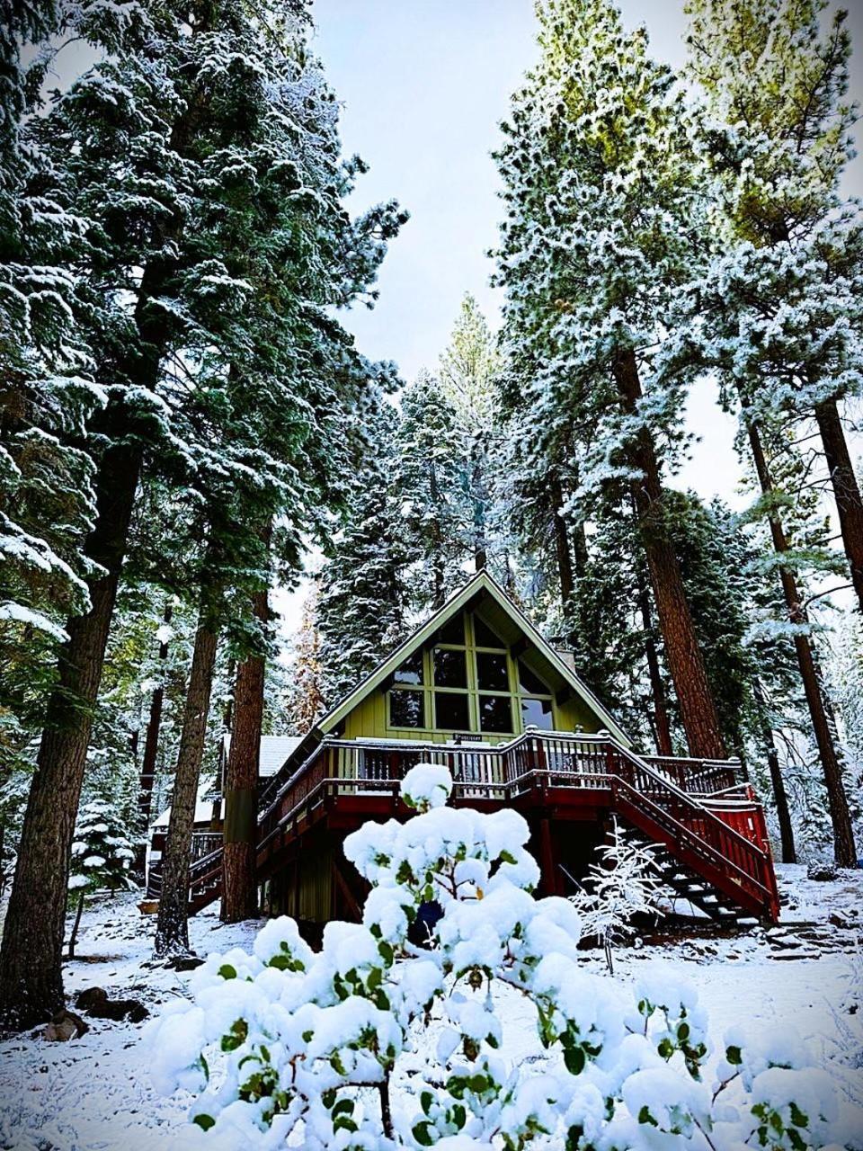 The Honey Bear Cabin Carnelian Bay Exterior foto