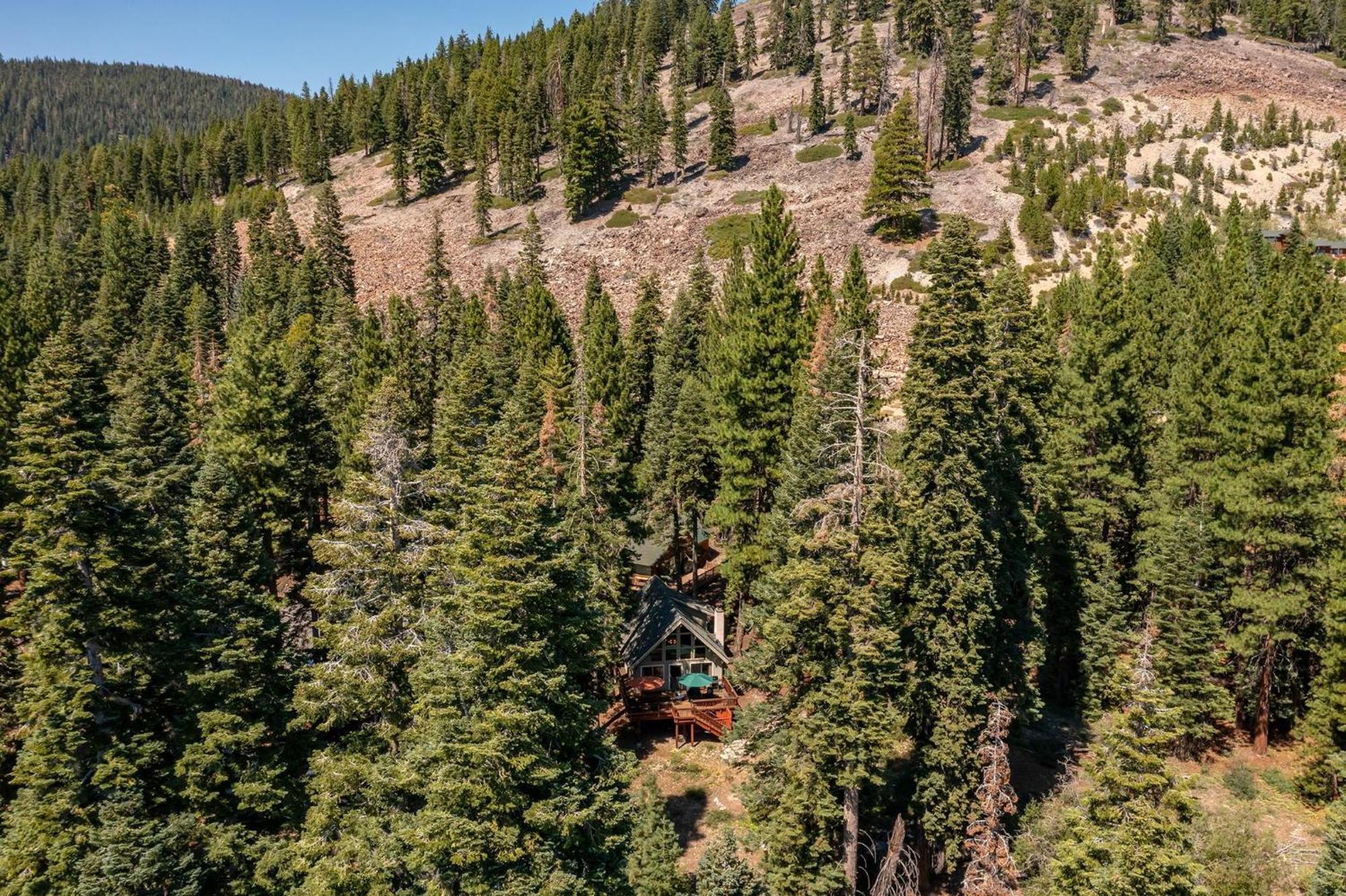 The Honey Bear Cabin Carnelian Bay Exterior foto